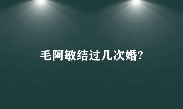 毛阿敏结过几次婚?
