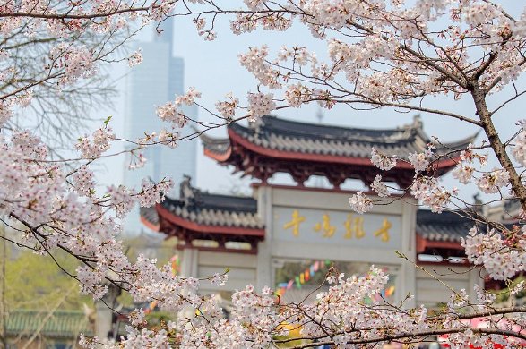 鸡鸣寺开放时间