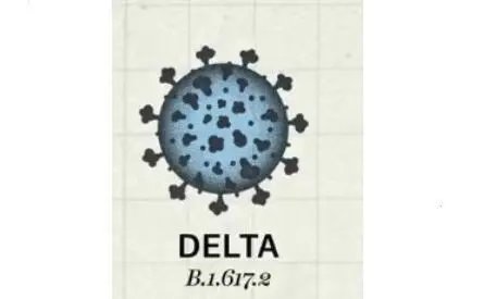 上海确诊母女感染德尔塔变异株，这对母女怎样了？