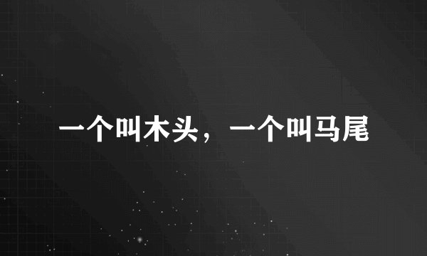 一个叫木头，一个叫马尾