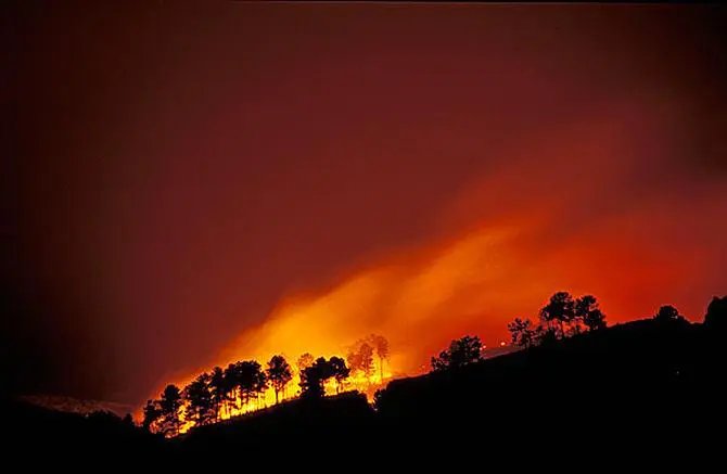 山东省青岛市三标山附近突发山火，当地展开了怎样的救援行动？