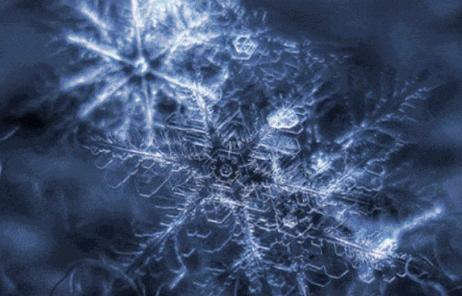 雪花一共有几种形状