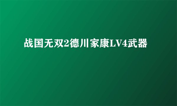 战国无双2德川家康LV4武器