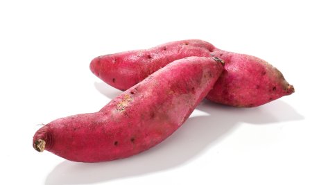 红薯保鲜库储存方法