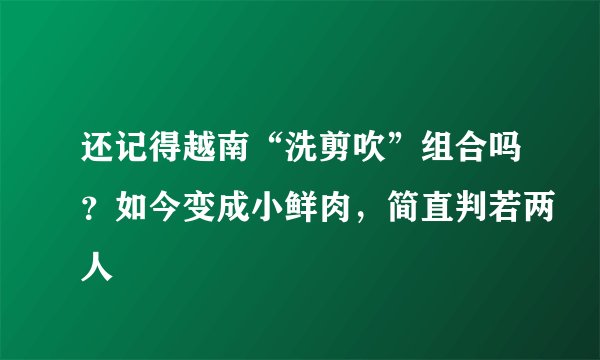 还记得越南“洗剪吹”组合吗？如今变成小鲜肉，简直判若两人