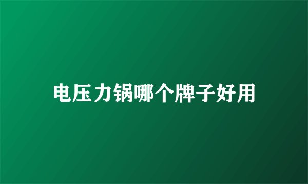 电压力锅哪个牌子好用