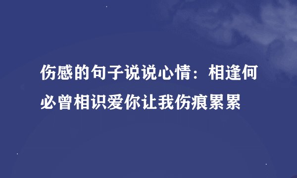 伤感的句子说说心情：相逢何必曾相识爱你让我伤痕累累