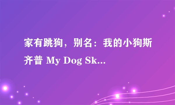 家有跳狗，别名：我的小狗斯齐普 My Dog Skip中的Skip是什么品种的狗狗啊。。