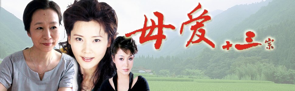 母爱十三宗的剧情简介