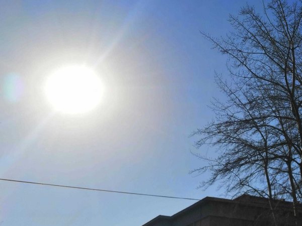 为什么今年这么热