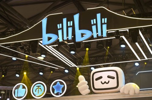 哔哩哔哩年度小会员什么意思