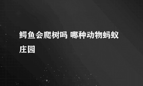 鳄鱼会爬树吗 哪种动物蚂蚁庄园