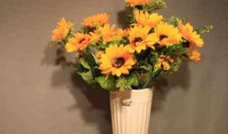 七月的风八月的雨什么歌