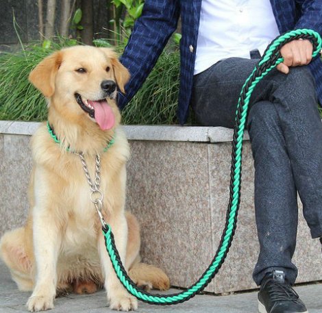 男子遛狗不拴绳被罚款2500元，遛狗不拴绳会导致什么后果？