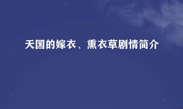天国的嫁衣、熏衣草剧情简介