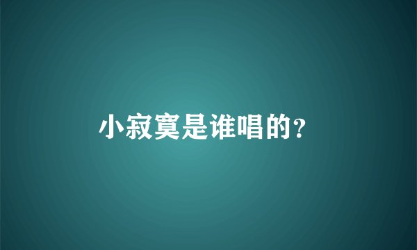 小寂寞是谁唱的？