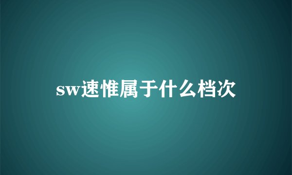 sw速惟属于什么档次