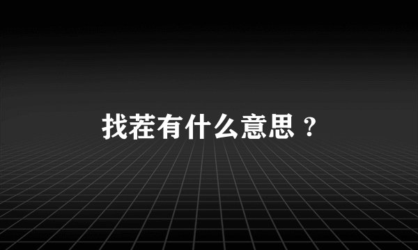 找茬有什么意思 ?