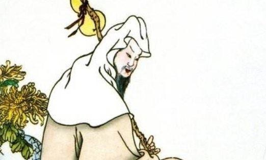 农历十一月的花公花母是谁