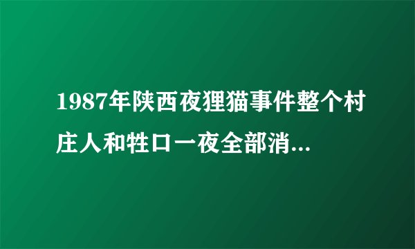 1987年陕西夜狸猫事件整个村庄人和牲口一夜全部消失了，是什么原因呢？