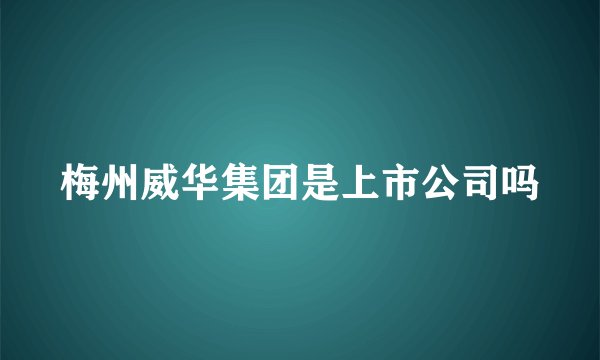 梅州威华集团是上市公司吗