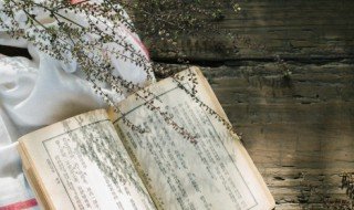 双文是什么意思 双文是啥意思