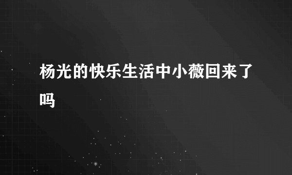 杨光的快乐生活中小薇回来了吗