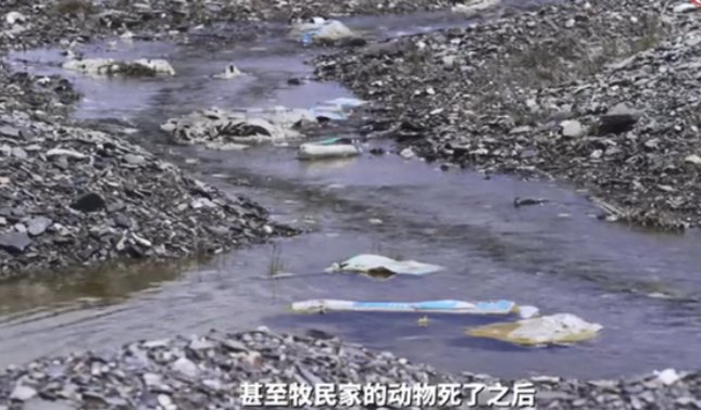 志愿者在青藏高原捡40多万件垃圾，若未能清理会怎么样？