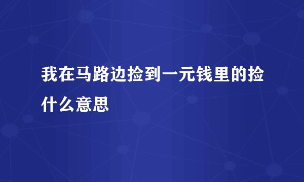 我在马路边捡到一元钱里的捡什么意思
