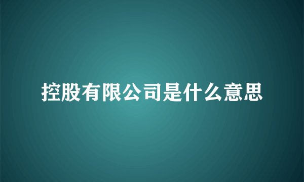 控股有限公司是什么意思