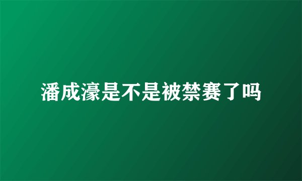 潘成濠是不是被禁赛了吗