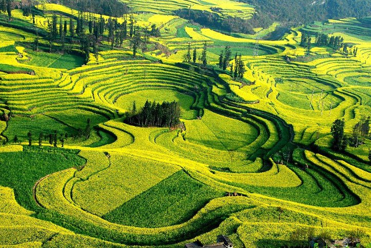 四面都是山(打一字)