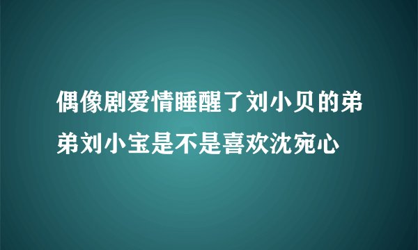 偶像剧爱情睡醒了刘小贝的弟弟刘小宝是不是喜欢沈宛心