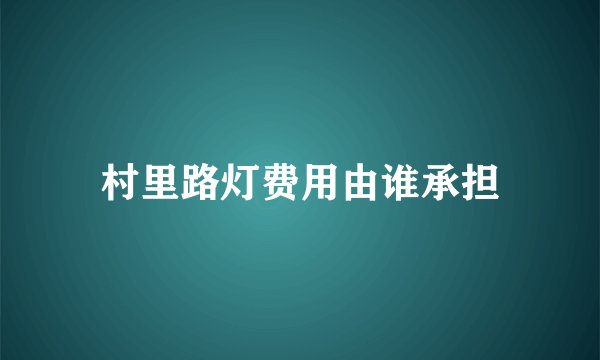 村里路灯费用由谁承担
