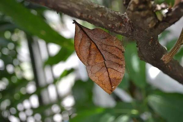 渐渐造句一年级