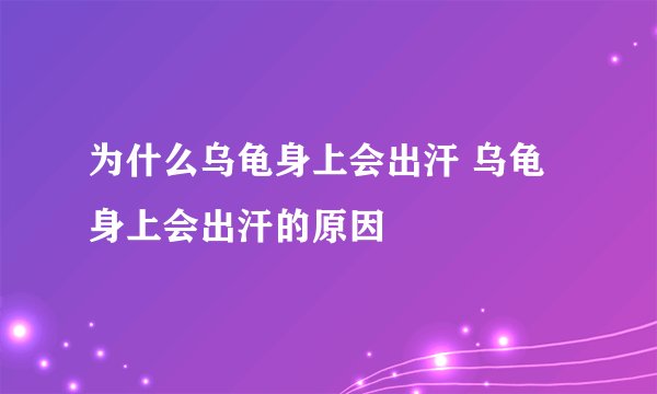 为什么乌龟身上会出汗 乌龟身上会出汗的原因
