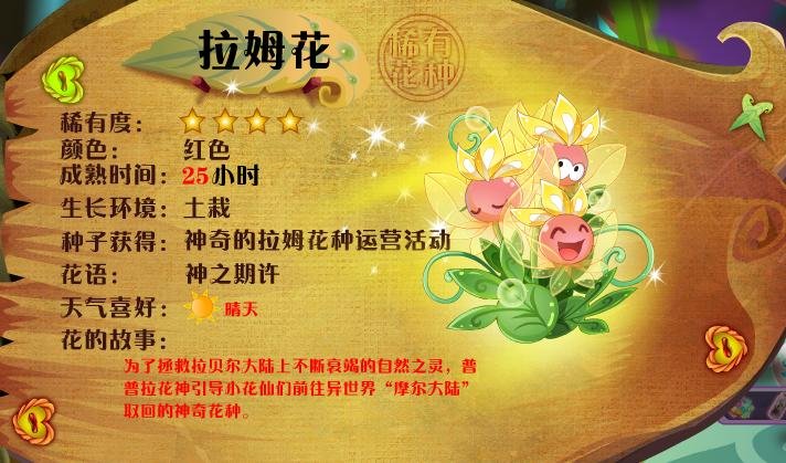 小花仙有什么稀有花种?