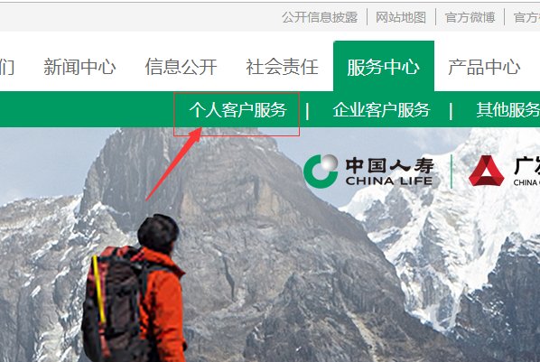 中国人寿保单查询入口怎么能在网上查询