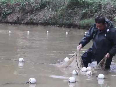 四川高温停电致数万斤鱼缺氧死亡!怎样可以将损失降到最低？