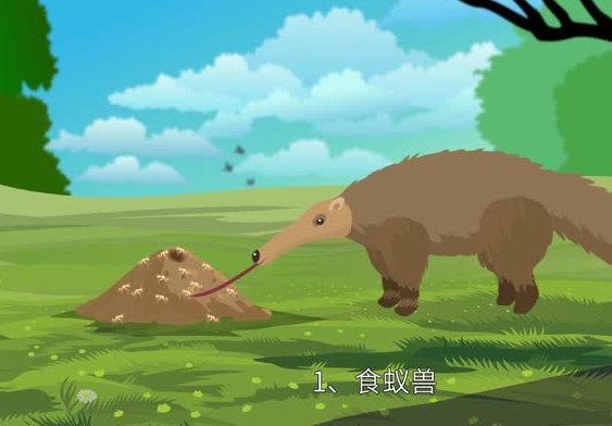 蚂蚁的天敌是什么动物 蚂蚁害怕什么动物