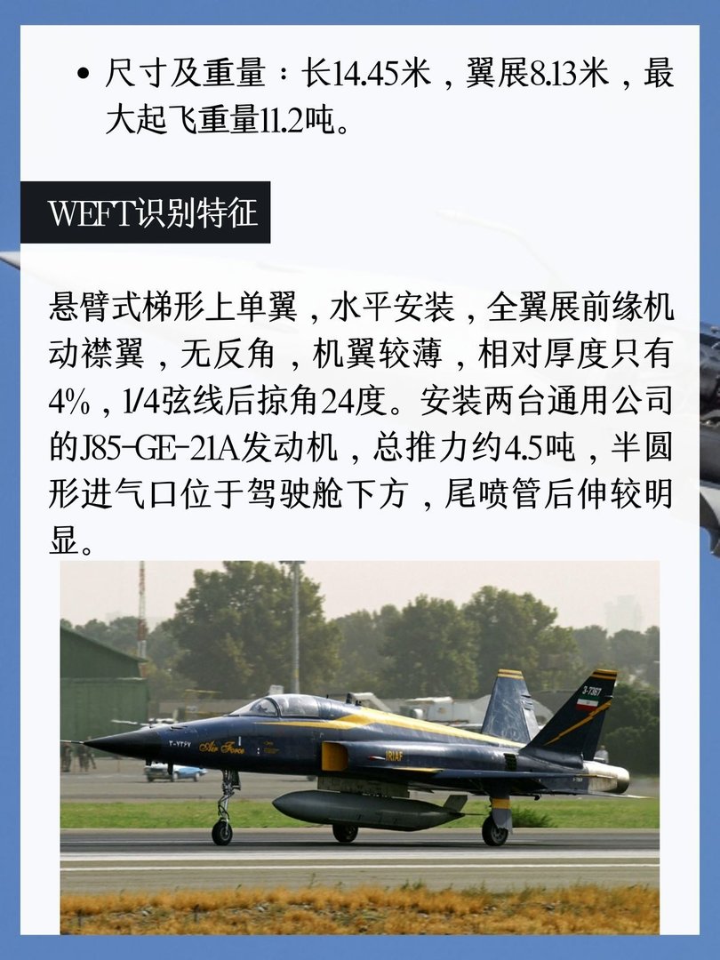 美国F-5E“虎”Ⅱ战斗机