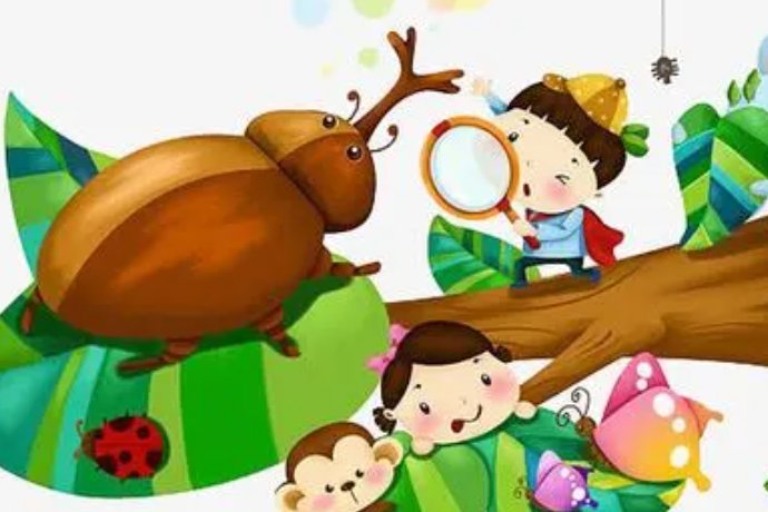 什么是定性观察