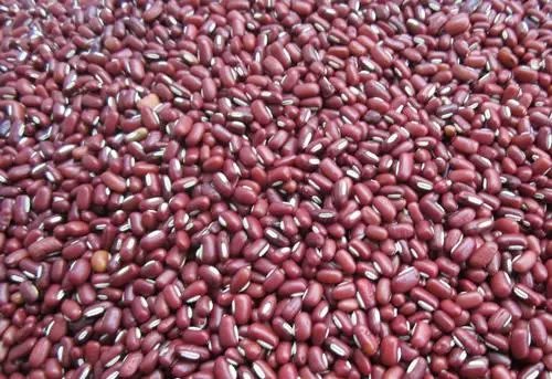 赤豆和红小豆的区别是什么?