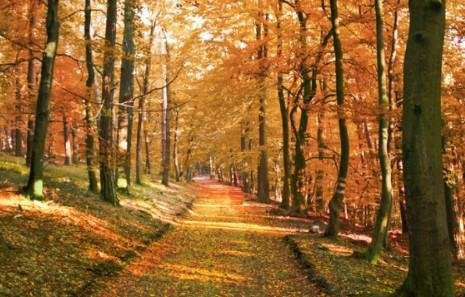 太阳升起时太阳落下时如何补充句子？