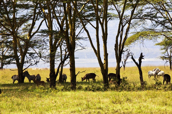内罗毕是哪国首都