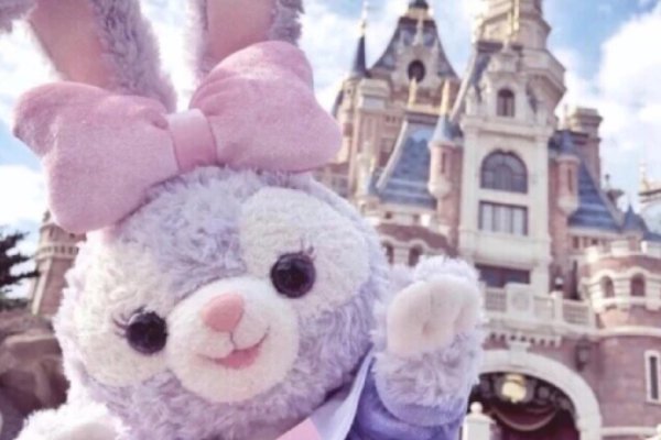 95后女生收藏数百只星黛露，她们收藏星黛露的原因是什么？