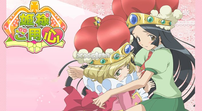 公主请小心的简介