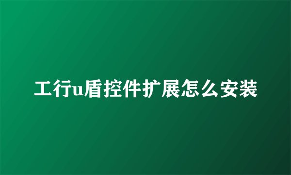 工行u盾控件扩展怎么安装