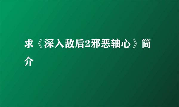 求《深入敌后2邪恶轴心》简介