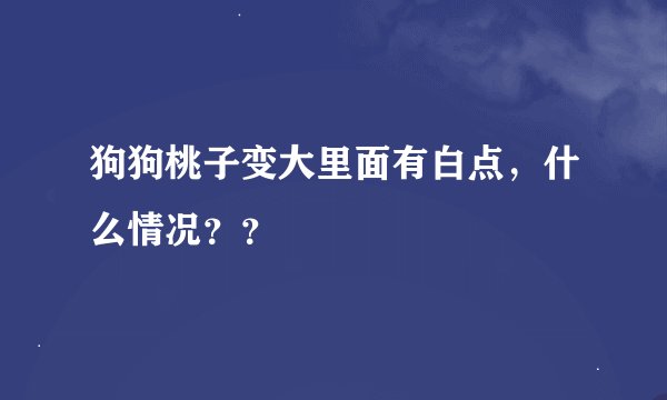 狗狗桃子变大里面有白点，什么情况？？